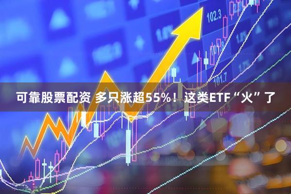可靠股票配資 多只漲超55%！這類ETF“火”了
